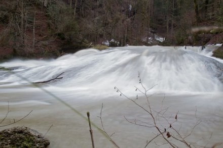 Ostallgäu:  (Maierhöfen)