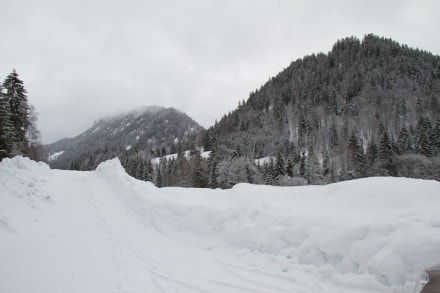 Von der Buchelalpe auf das Wertacher Hrnle