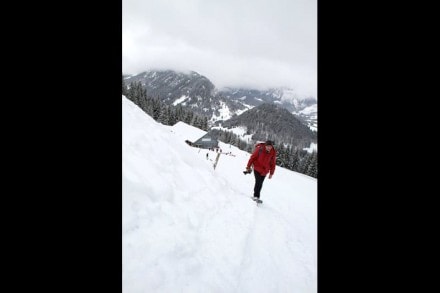 Oberallgäu: Buchealpe (Oberjoch)