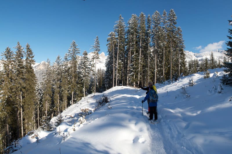 Nigerpass<br />(Tiers - Trentino / 2012)