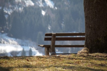 Oberallgäu: Von Bad-Hindelang zum Gailenberg Gipfelkreuz (Bad-Hindelang)