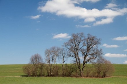 Oberallgäu:  (Dietmannsried)