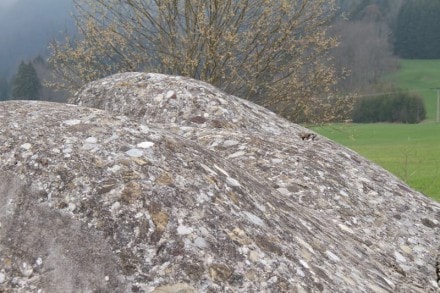 Oberallgu:  (Rettenberg)