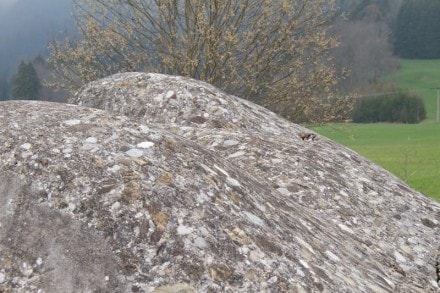 Oberallgäu: Gletscherschliff (18.000 Jahre) (Rettenberg)