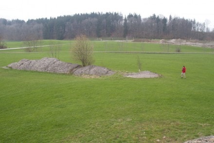 Oberallgäu: Gletscherschliff - 18.000 Jahre (Rettenberg)