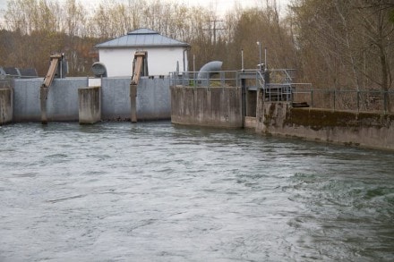 Oberallgäu: Staustufe bei Martinzell (Martinzell)