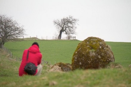 Oberallgäu: Findlinge (Martinzell)