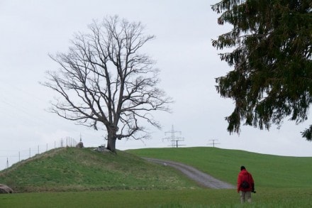 Oberallgu: Gedenken des Bau der B19 (Martinzell)