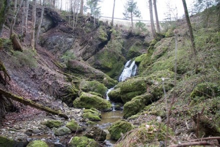 Oberallgäu: Rukatstobel (Moosbach)