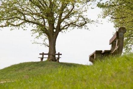 Nördlinger Ries:  (Nördlingen)