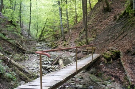 Oberallgäu: Schiessbachtobel (Wertach)