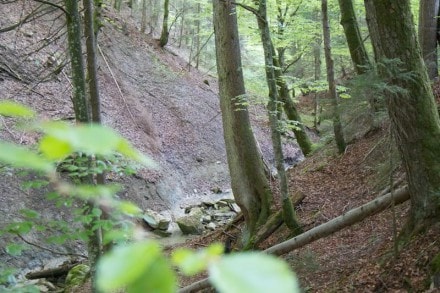 Oberallgäu: Der Schiessbachtobel  (Wertach)