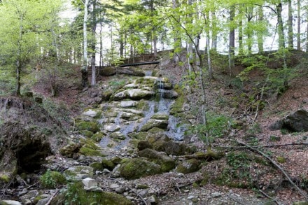 Oberallgu: Schiessbachtobel (Wertach)