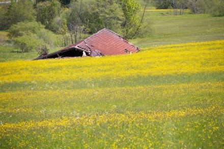 Oberallgäu: Von Missen aus zur Pfarr Alpe und weiter zum Seeblick und Köpfle (Immenstadt)