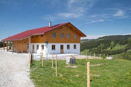 Oberallgäu: Juget Alpe (Immenstadt)