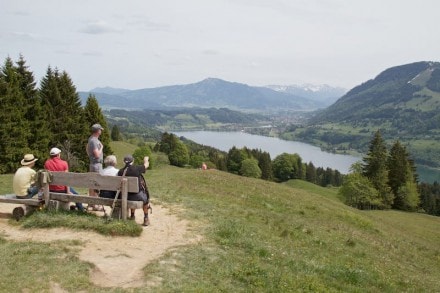 Oberallgu: Seeblick auf den Alpsee bei Immenstadt (Immenstadt)