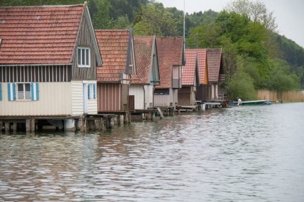 Oberallgäu: Alpsee (Immenstadt) (Immenstadt)