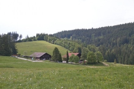 Oberallgu: Wenger Egg-Alpe (Wengen)