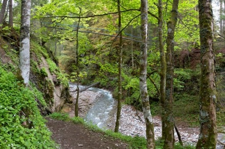 Oberallgäu: Rautweg bei Gerstruben (Oberstdorf)