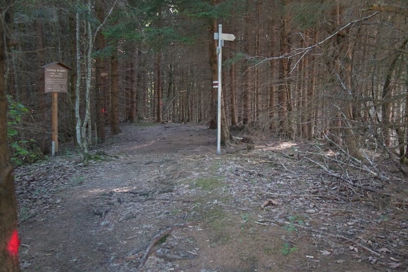 Vom Waldhäusle aus zum Spießeck und zum Rohrbachtobel<br />(Waltenhofen - Oberallgäu / 2012)