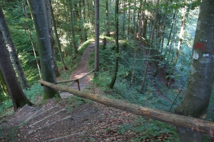 Vom Waldhusle aus zum Spieeck und zum Rohrbachtobel