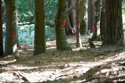 Oberallgäu: Ludwig-Gruber-Weg (Waltenhofen)