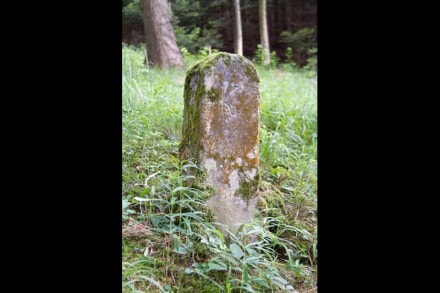 Oberallgäu: Grenzmarker (Sulzberg)