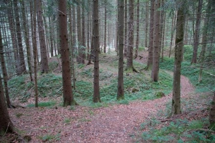 Oberallgäu: Fliehburg (Kelten von 995 n. Chr.) (Sulzberg)