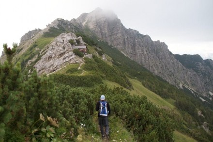 Tannheimer Tal: Rohnenspitze (Schattwald)