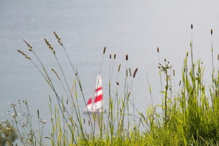Oberallgäu: Tour (Immenstadt)