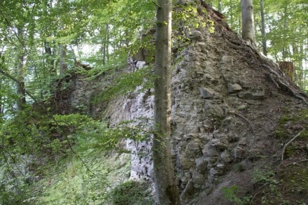 Oberallgu: Burgruine Rothenfels (Immenstadt)
