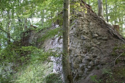 Oberallgäu: Burgruine Rothenfels (Immenstadt)