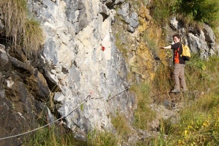 Oberallgäu: Palmweg bei Bad Hindelang (Bad Hindelang)