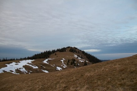 Tannheimer Tal: Schönkahler (Tannheim)