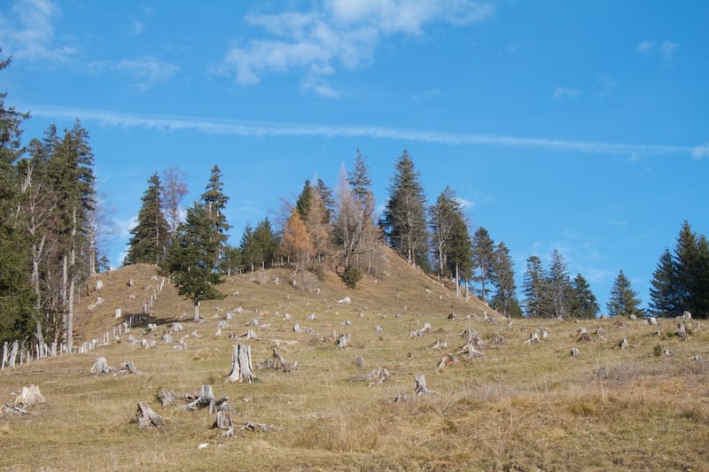 Von Schattwald aus auf Hinteres- und Vorderes Ächsele<br />(Tannheim - Tannheimer Tal / 2012)
