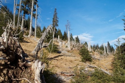 Tannheimer Tal: Von Schattwald aus auf Hinteres- und Vorderes Ächsele (Tannheim)