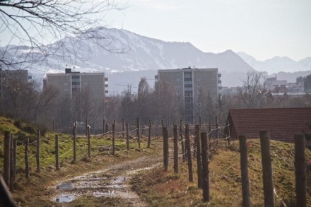 Oberallgäu: Tour (Kempten)