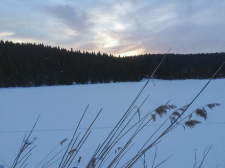 Oberallgäu: Eschacher Weiher (Eschach)