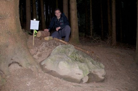 Oberallgäu: Findling aus Schrattenkalk (Sulzberg)