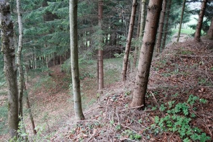 Oberallgäu: Burgstall Wachsenegg (Sulzberg)