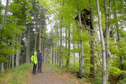 Oberallgäu:  (Sonthofen)