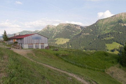 Oberallgäu: Prodel Alpe (Oberstaufen)