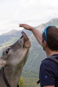 Oberallgäu:  (Oberstaufen)