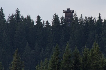 Oberallgäu: Tour (Wangen)