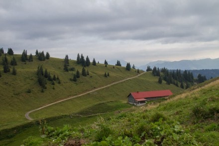 Oberallgäu: Obere Gelchenwangalpe (Gunzesried)