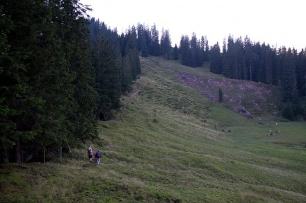 Oberallgäu: Hühnermoos (Sonthofen)