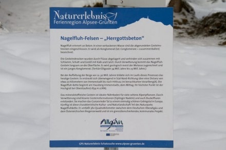 Oberallgu: Nagelfluh-Felsen -Herrgottsbeton- (Gunzesried)
