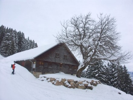 Oberallgäu: Alpe Dürrehorn (1.151m) (Gunzesried)