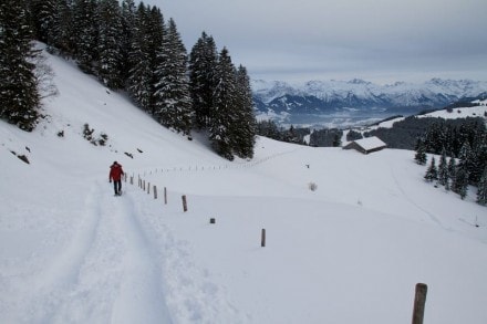 Oberallgäu: Vordere Krummalpe (Gunzesried)