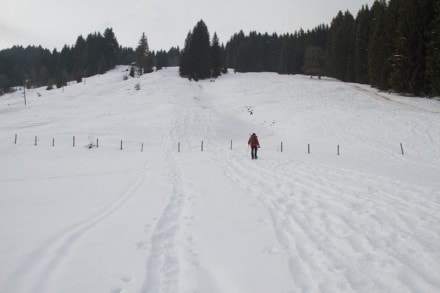 Vom Ostertal Parkplatz zur Mittelberg Alpe